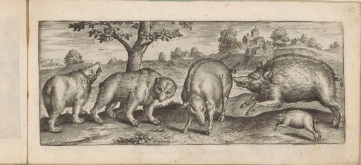 Bears, pigs, and a wild boar in a landscape