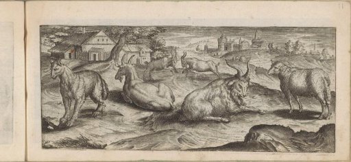Dog, goats, and sheep in a landscape