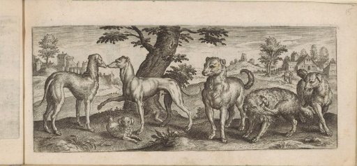 Six dogs in a landscape