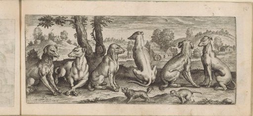Eight dogs in a landscape