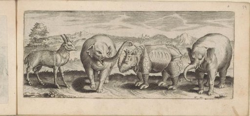Gazelles, elephants, and rhinoceros in a landscape