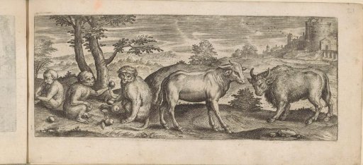 Monkeys, cow, and buffalo in a landscape