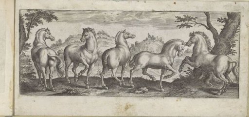 Five horses in a landscape