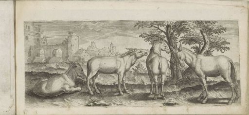 Four donkeys in a landscape