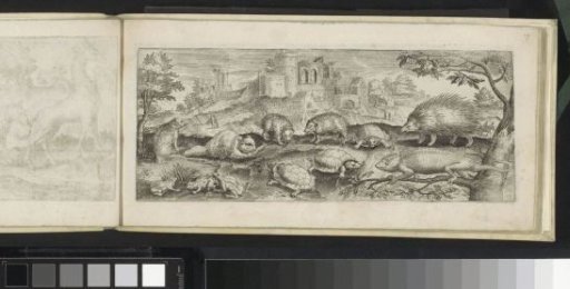 Hedgehogs, Turtles, Frogs, and Chameleon in a Landscape