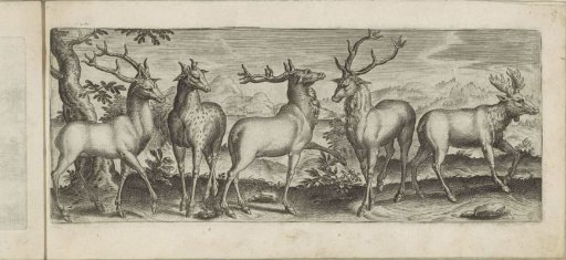 Various Deer and an Elk in a Landscape
