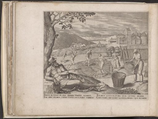 The Idle Man Lies Under a Tree During the Harvest
