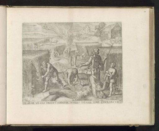 The burning of the tares and the harvesting of the wheat