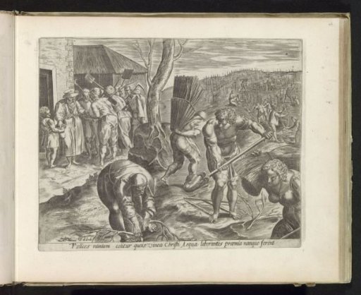 Parable of the Workers in the Vineyard