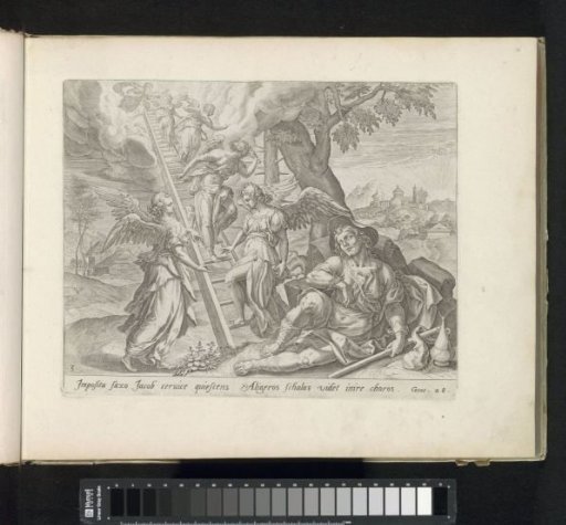 Jacob's Ladder