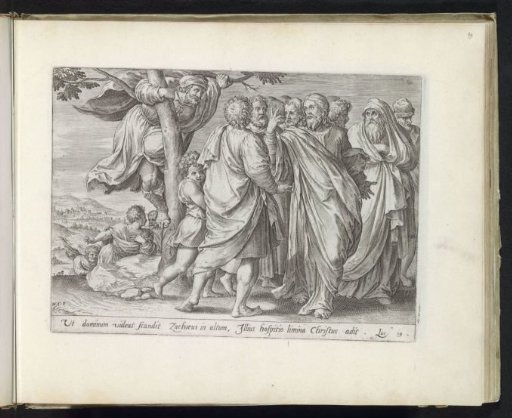 Zacchaeus in the Fig Tree