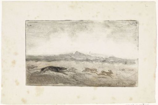 Hare hunt