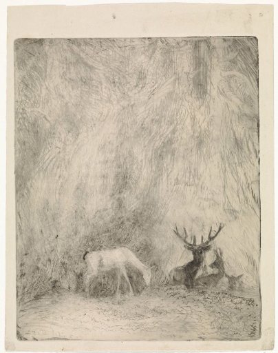 Deer in a Bohemian Forest