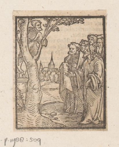 Zacchaeus in the Sycamore Tree