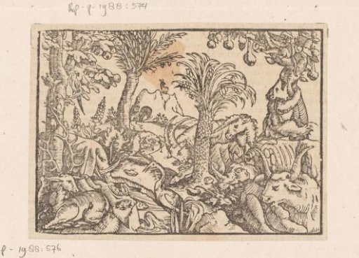 Various Animals