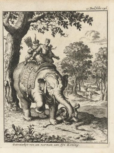 Elephant tramples his keeper