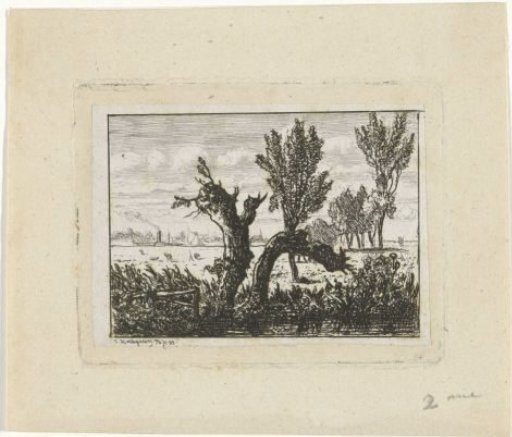 Landscape with pollarded willows
