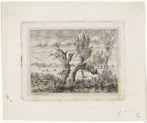 Landscape with pollarded willows