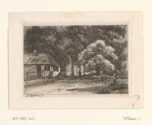 House Among Trees