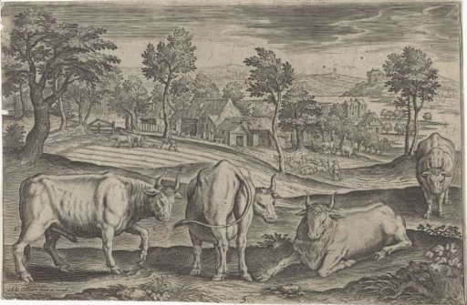 Cattle