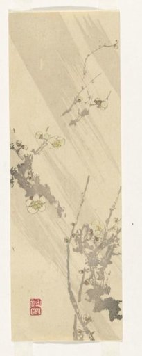 Plum Blossoms