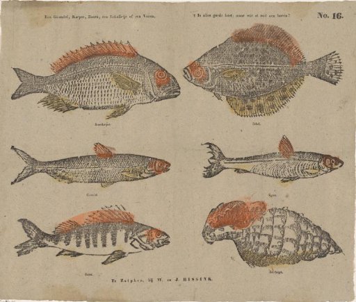 A gudgeon, carp, perch, a sole, or a smelt, / It is good food, but who ever ate a horn?