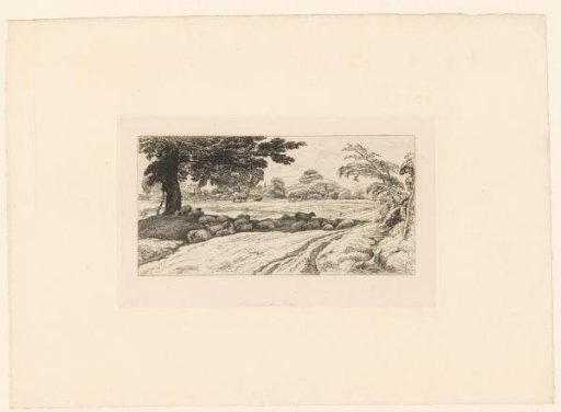 Landscape with sheep in the shade of a tree