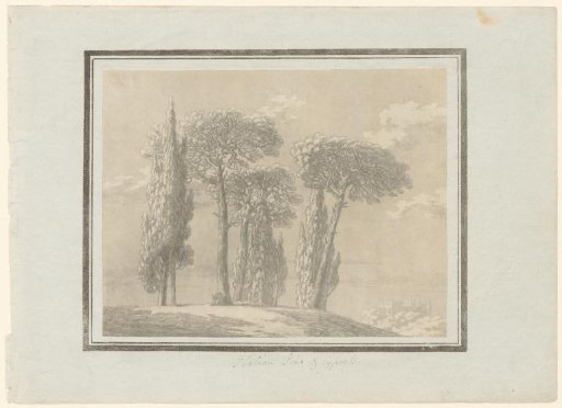 Italian pine and cypress