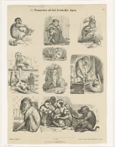 Scenes from the Life of Apes
