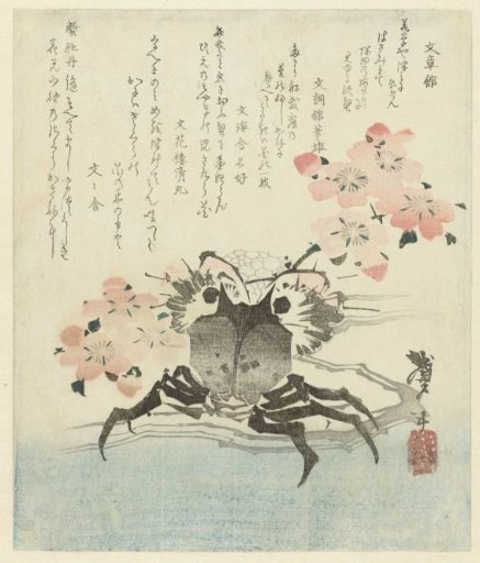 Crab with Cherry Blossom
