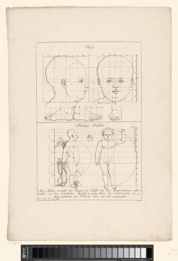 View and two views of the body of a three-year-old boy