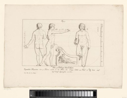 Three views of the body of a nine-year-old boy