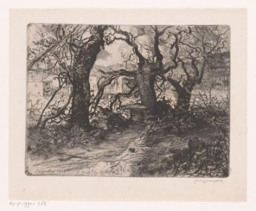 Landscape