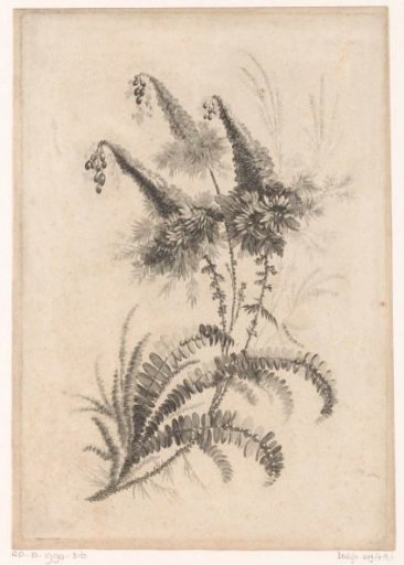 Pointed Flowers