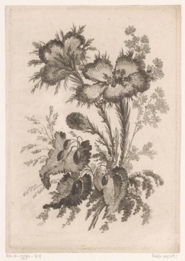 Flowers and Ferns