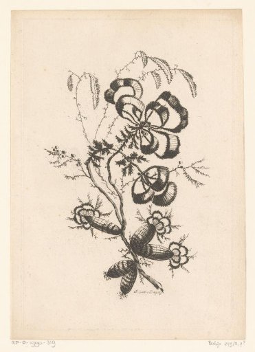 Bow-shaped flowers