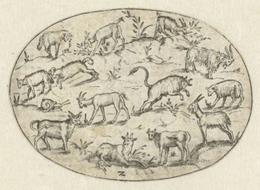 Oval with thirteen goats