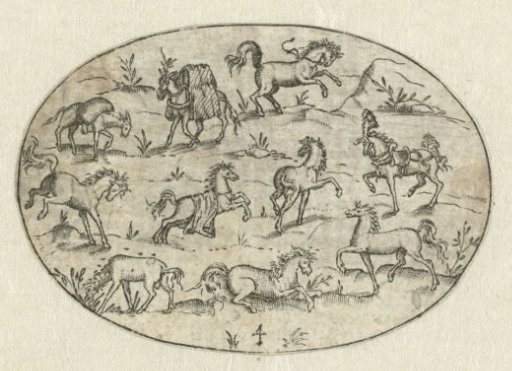 Oval with eight horses and two donkeys
