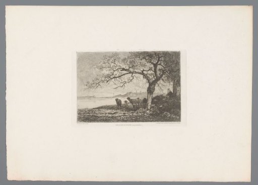 View of a lake with sheep on the shore and a resting shepherdess