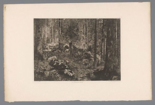 Wooded Landscape