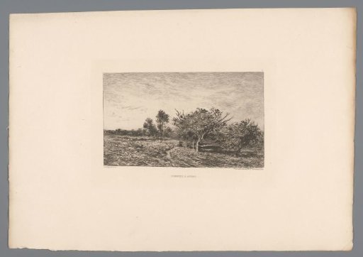 Landscape with apple trees