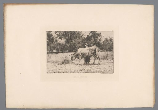 Woman and Cow in a Meadow