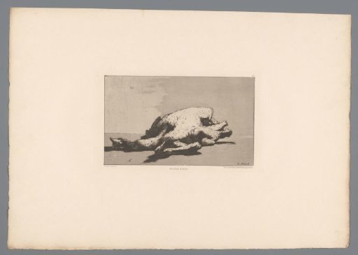 Still Life with a Dead Chicken