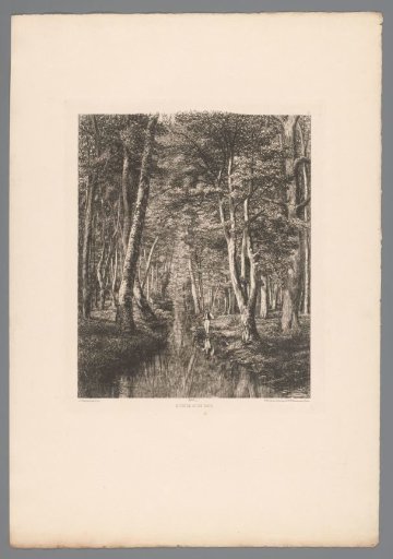 Fisherman in a forest