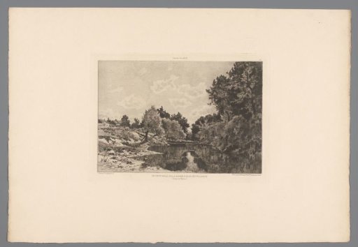 Forest landscape with a river