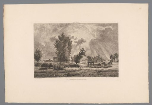 Landscape with drinking cows