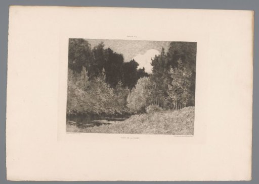 Boslandschap met de rivier de Marne