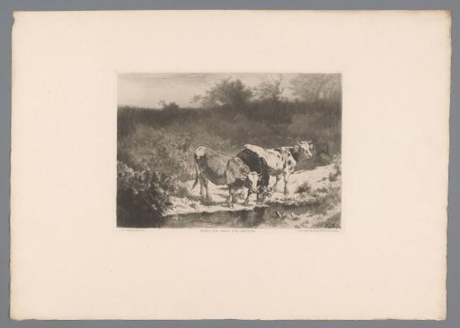 Three Cows by a Stream