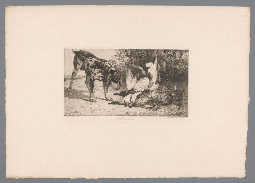 Hunting Dog with Prey