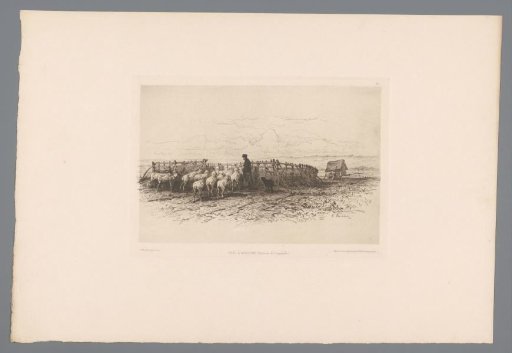 Shepherd with a Flock